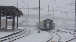 Под колесами монополиста Под колесами монополиста
