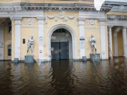 Амур сдается Амур сдается