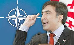 В Тбилиси состоится заседание Совета НАТО