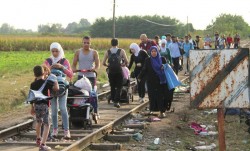 Исламисты пытаются вербовать прибывших в Европу беженцев