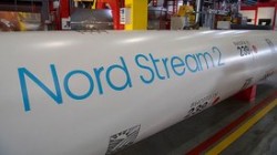 WWF призвал Меркель остановить «Северный поток – 2» WWF призвал Меркель остановить «Северный поток – 2»