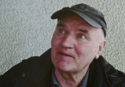 Младич экстрадирован в Гаагу