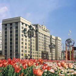 В паутине законов В паутине законов