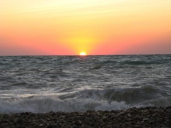 Почти половина Черного моря непригодна для жизни Почти половина Черного моря непригодна для жизни