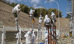«Фукусиму» погубил человеческий фактор