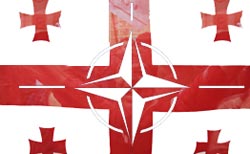 Грузия пытается поссорить Россию с НАТО