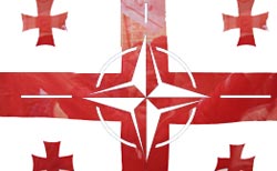 Грузия пытается поссорить Россию с НАТО Грузия пытается поссорить Россию с НАТО