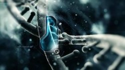 Китай начал массово редактировать ДНК людей Китай начал массово редактировать ДНК людей