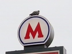 Проезд в метро подорожает Проезд в метро подорожает