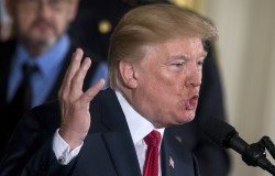 Трамп потребовал казнить нью-йоркского террориста Трамп потребовал казнить нью-йоркского террориста