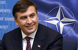Грузию готовы принять в НАТО Грузию готовы принять в НАТО