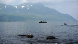 СМИ: Моряки с пропавшего судна «Восток» найдены СМИ: Моряки с пропавшего судна «Восток» найдены