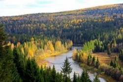 Иванов: регионы должны научиться предотвращать лесные пожары Иванов: регионы должны научиться предотвращать лесные пожары