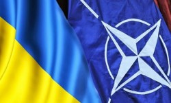 СМИ узнали о нежелании НАТО принимать Украину