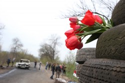 Перемирия не состоялось Перемирия не состоялось