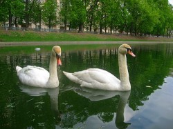 Москва понижает градус