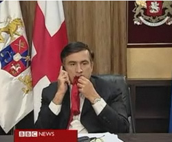 Президент из породы жвачных Президент из породы жвачных