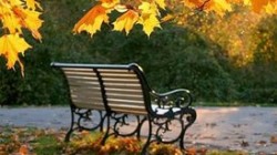 Синоптики пообещали москвичам бабье лето Синоптики пообещали москвичам бабье лето