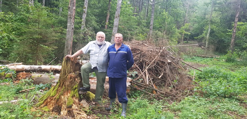 Сказы Шиловского леса