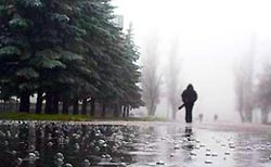 В Москве снова выпадет мокрый снег
