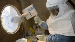 Вакцину от вируса Эбола испытают на людях Вакцину от вируса Эбола испытают на людях
