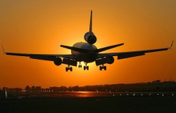 Итальянцы пакуют чемоданы Итальянцы пакуют чемоданы
