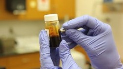 NYT: в РУСАДА признали наличие системы допинга в России NYT: в РУСАДА признали наличие системы допинга в России