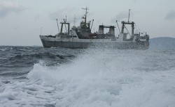 В Охотском море перевернулся траулер В Охотском море перевернулся траулер