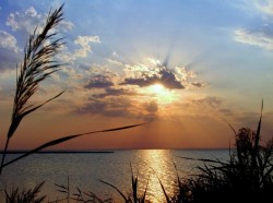 Россия и Украина поделили море Россия и Украина поделили море
