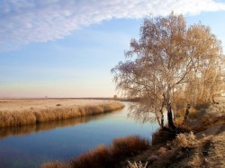 Ноябрь прибавит плюсов