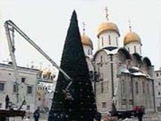 Рождественскую ель доставили в Кремль Рождественскую ель доставили в Кремль