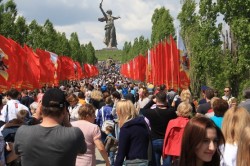 Сталинградская сирень Сталинградская сирень
