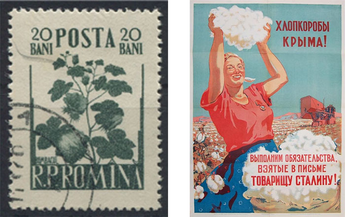плакат 1951 года и почтовая марка Румынии (1955 г.) с внедрённым там сортом крымского хлопка.jpg