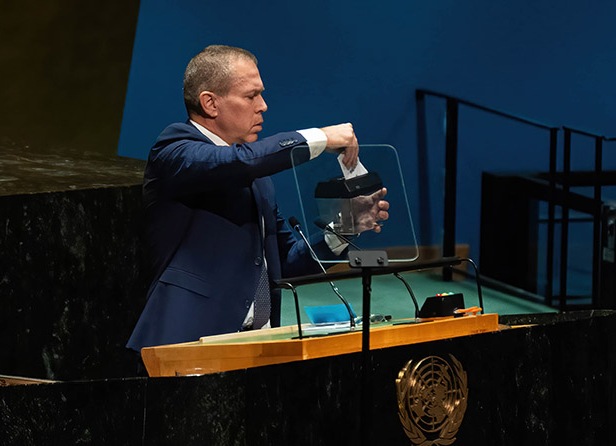 249.jpg