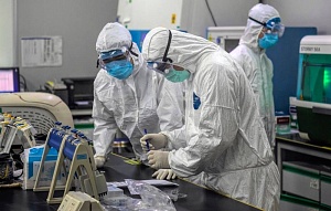В Россию привезли штамм коронавируса из США В Россию привезли штамм коронавируса из США