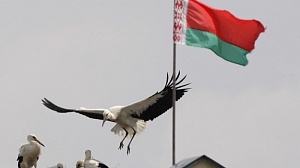 В Белоруссии обнародовали проект изменений в Конституцию