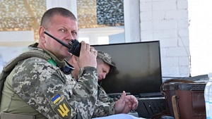 Стратегия «булавочных уколов» Стратегия «булавочных уколов»