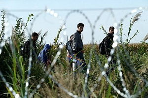 На Украине опровергли информацию о расстреле мигрантов из Белоруссии