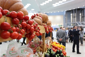 Россия уменьшила импорт продовольствия на треть Россия уменьшила импорт продовольствия на треть