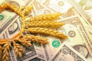 Украина: зерновая афера 