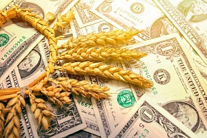 Украина: зерновая афера Украина: зерновая афера