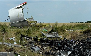 В Нидерландах рассказали о результатах анализа тел членов экипажа MH17