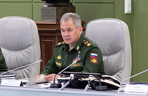 Шойгу осудил подчинённых за бездушие и формализм Шойгу осудил подчинённых за бездушие и формализм
