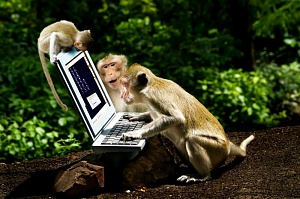 Илон Маск чипировал обезьяну и научил её играть в видеоигры