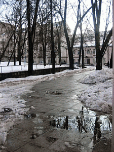 В столице постепенно теплеет В столице постепенно теплеет