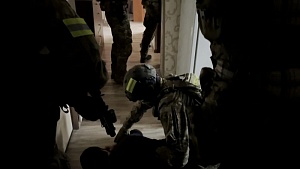 На границе Брянской области уничтожены украинские диверсанты с бомбами На границе Брянской области уничтожены украинские диверсанты с бомбами