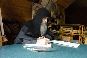 Незамутнённый родник Незамутнённый родник