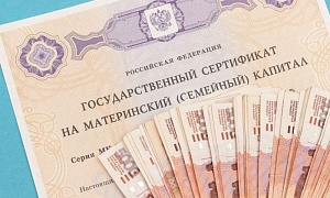 Новое применение материнскому капиталу нашли в правительстве Новое применение материнскому капиталу нашли в правительстве