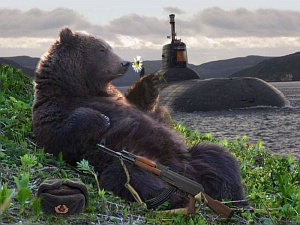 Россияне одобрили медведя в качестве символа страны