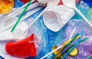 В России хотят запретить пластиковую посуду 